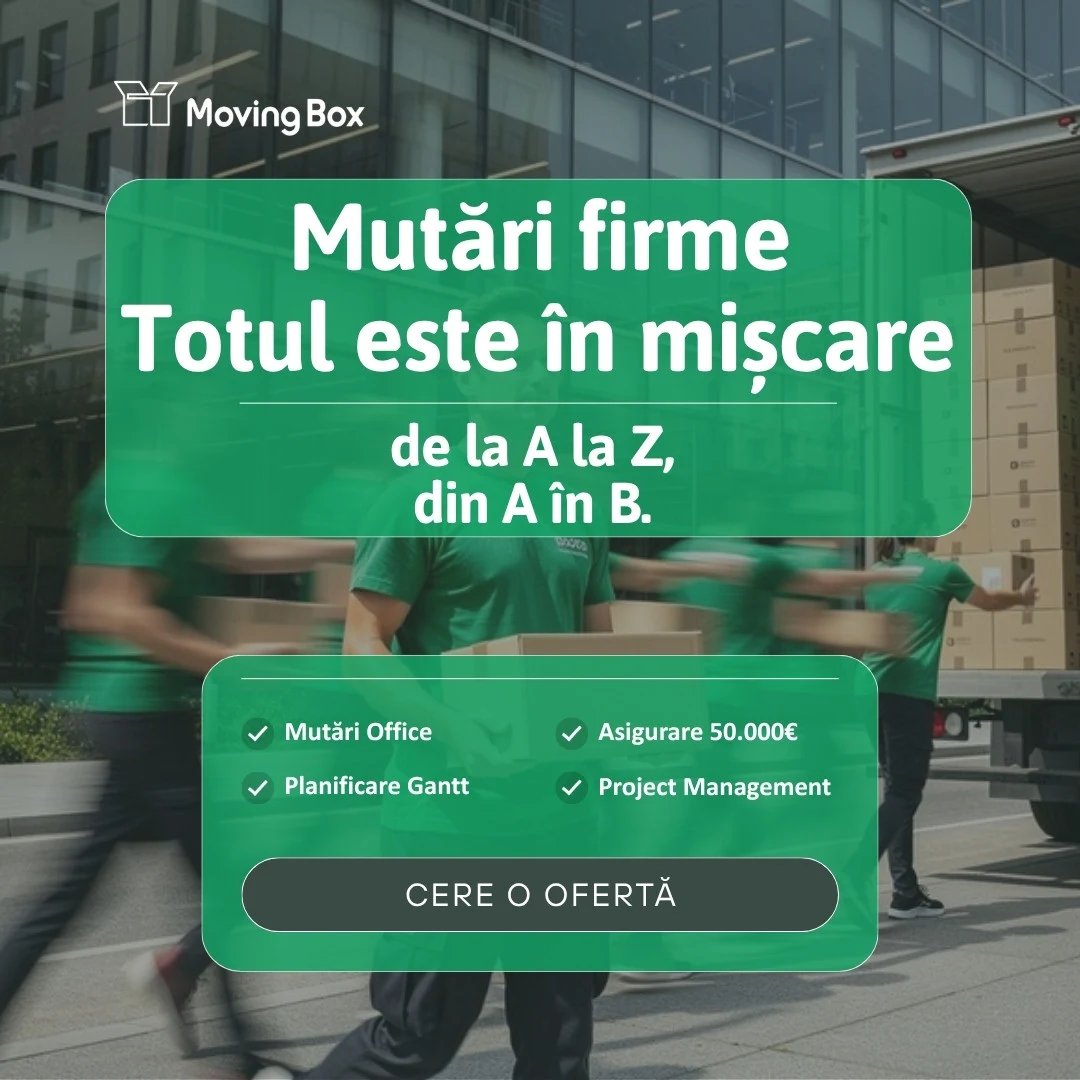 Banner MovingBox pentru companii: „Mutări firme, totul este în mișcare”, echipa cu cutii