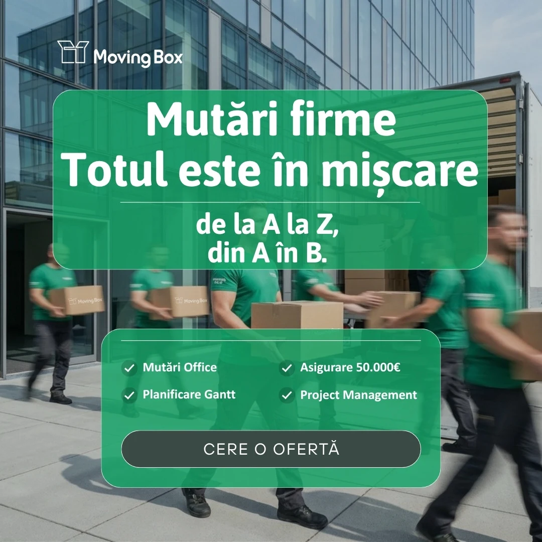 Banner MovingBox pentru companii: „Mutări firme, totul este în mișcare”, cu planificare Gantt