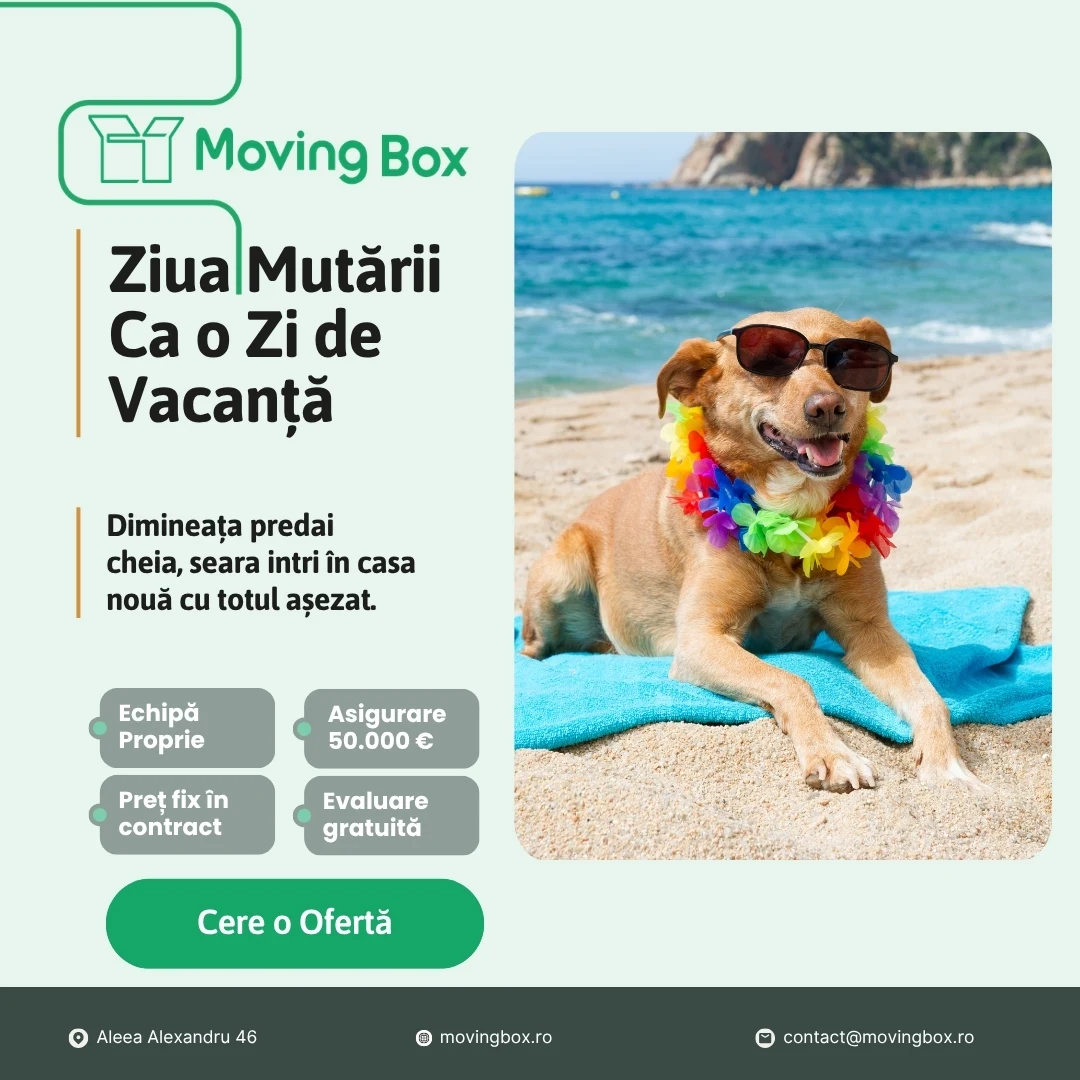 Banner MovingBox: „Ziua mutării ca o zi de vacanță”, câine cu ochelari de soare