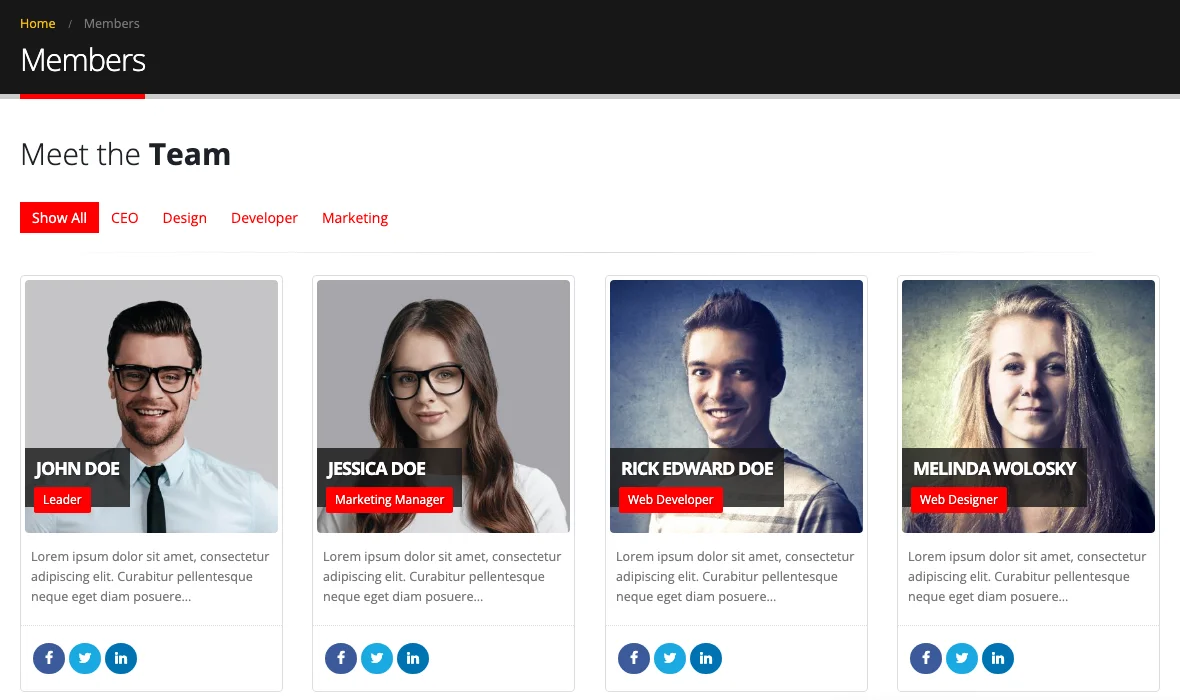 Captura paginii divinol.ro/member, intitulată Meet the Team, cu patru persoane fictive din tema site-ului: John Doe, Leader; Jessica Doe, Marketing Manager; Rick Edward Doe, Web Developer; Melinda Wolosky, Web Designer, fiecare cu text Lorem ipsum.